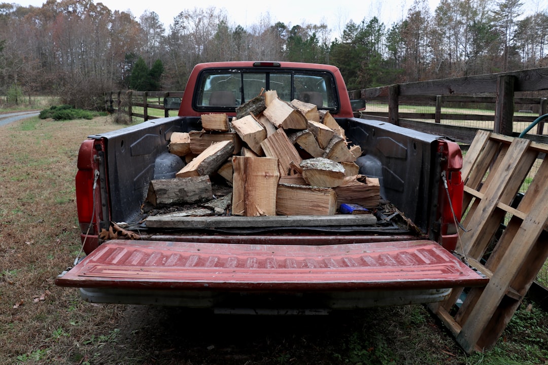 Mastering the First Impression: Your intriguing post title goes here An old pickup truck loaded down with firewood.